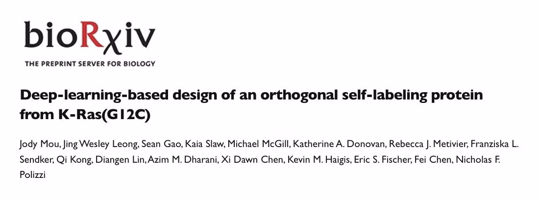 You are currently viewing [Paper Review #31] Deep-learning-based design of an orthogonal self-labeling protein from K-Ras(G12C)